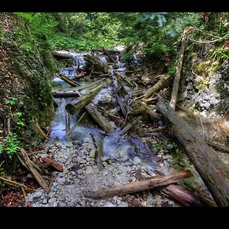 D.a.r. - Slovensky Raj 招待所 3*